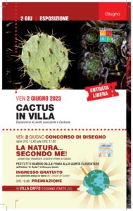 Cactus In Villa